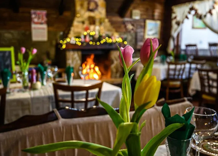 מלון Family Chichin בנסקו