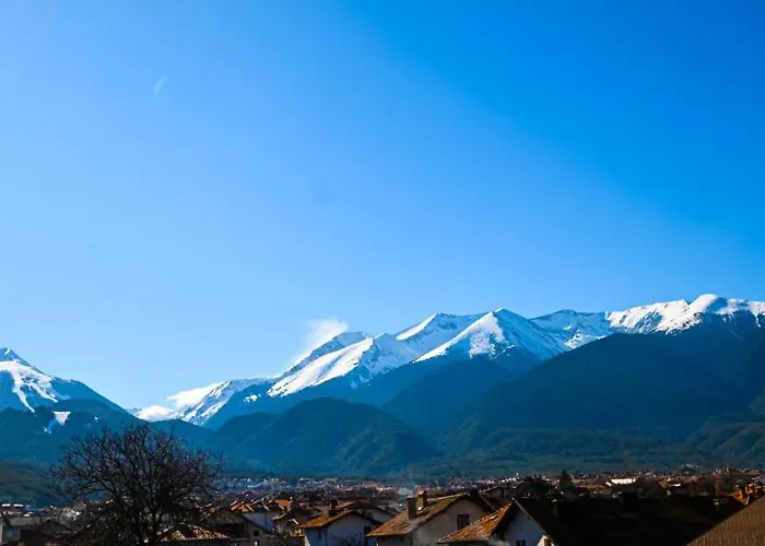 Family Chichin 호텔 반스코